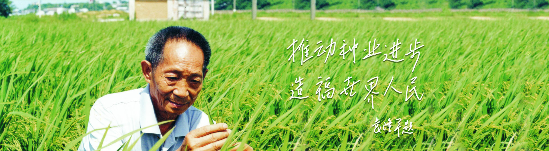 平博·Pinnacle官方网站高科