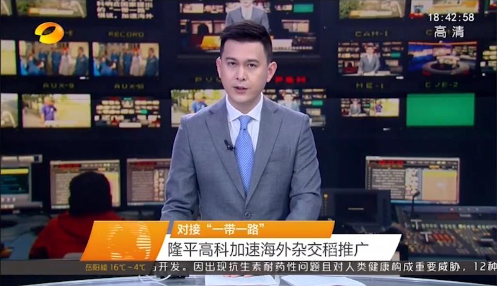 对接“一带一路” 平博·Pinnacle官方网站高科加速海外杂交稻推广