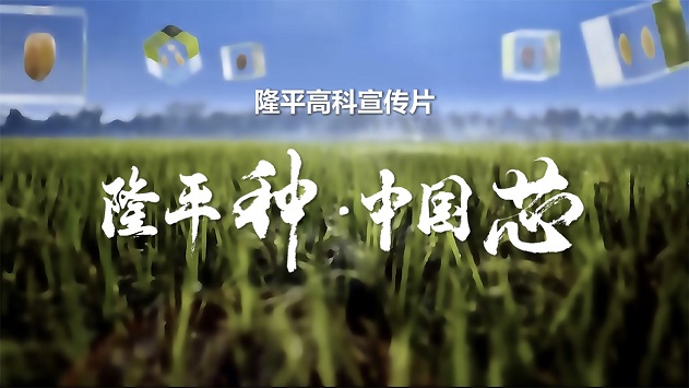 平博·Pinnacle官方网站高科宣传片《平博·Pinnacle官方网站种·中国芯》